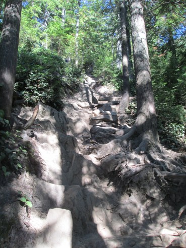 Grouse Grind 3