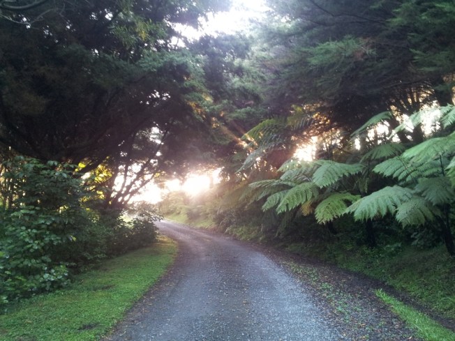 Part of my morning run