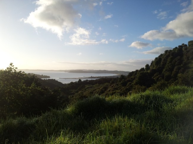 View from my morning run