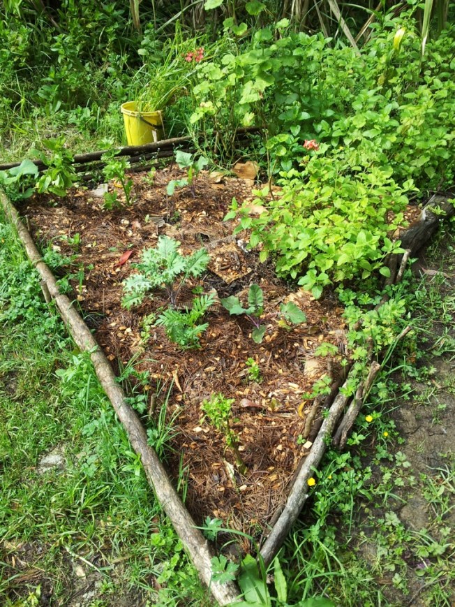One of our beautifully mulched beds in the Yin Yang Garden