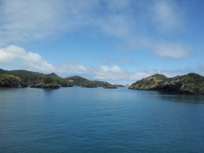 View coming into the Great Barrier on the Sealink ferry