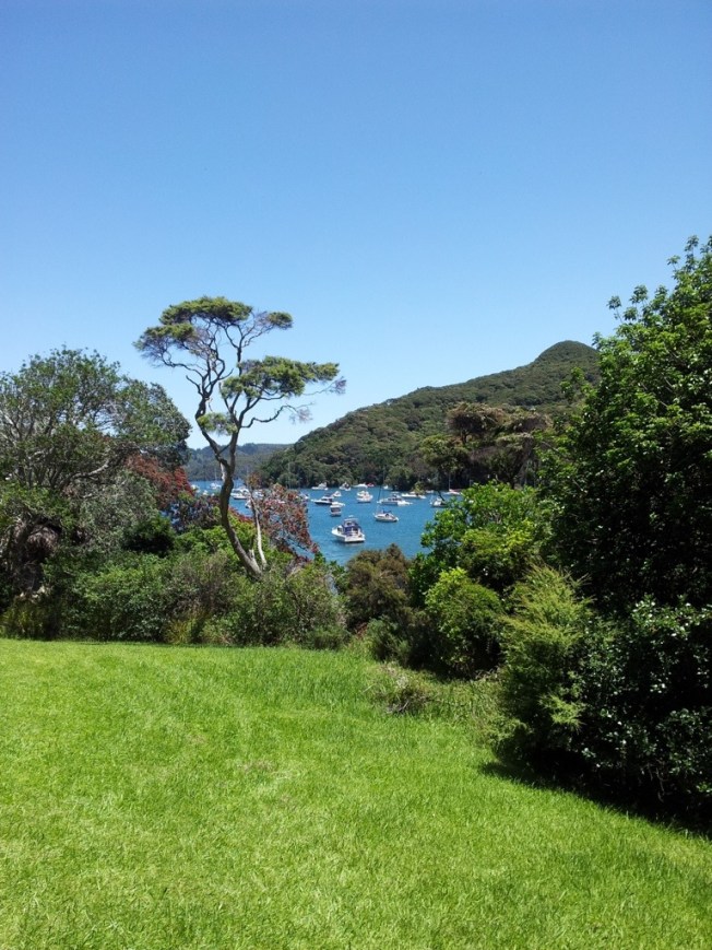Boats at Port Fitzroy