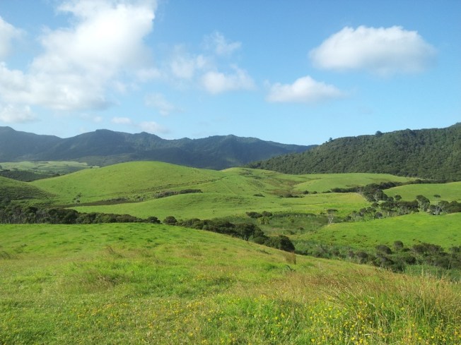 One of my favorite running routes -- gorgeous view!