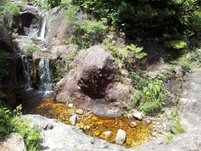 Water as pure as gold, on the hike down from Mount Hobson