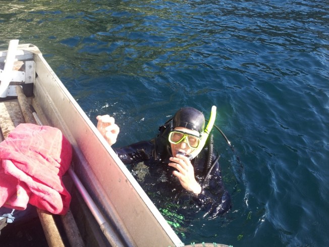 Bruce ready to dive for crayfish