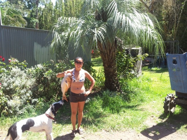 My first catch, a big snapper! Speckles thought it smelled delicious.