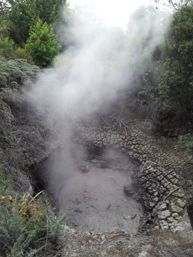 Geothermal hot springs in Rotorua