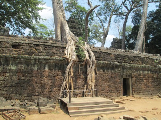 Ta Prohm 1