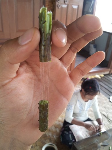 This is what they use to weave. So interesting!