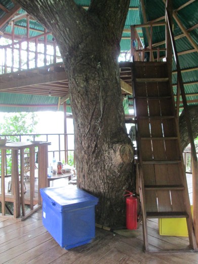 Tree House 2