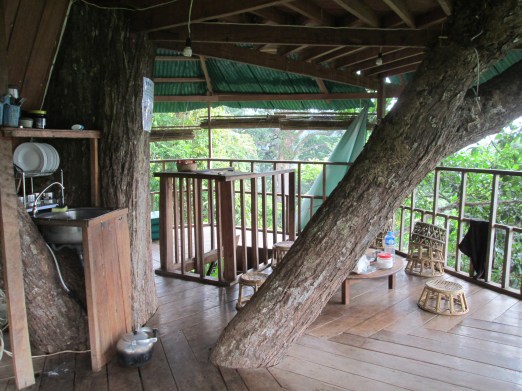 Tree House 3